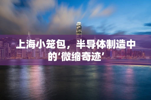 上海小笼包，半导体制造中的‘微缩奇迹’