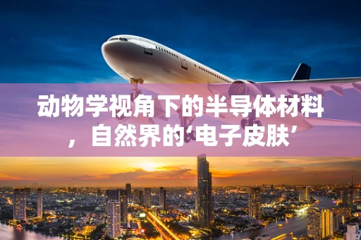 动物学视角下的半导体材料，自然界的‘电子皮肤’