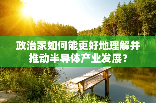 政治家如何能更好地理解并推动半导体产业发展？