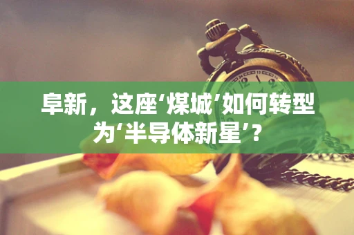 阜新，这座‘煤城’如何转型为‘半导体新星’？