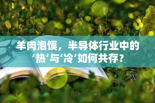 羊肉泡馍，半导体行业中的‘热’与‘冷’如何共存？
