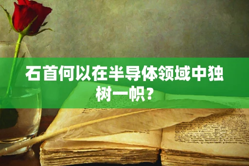 石首何以在半导体领域中独树一帜？