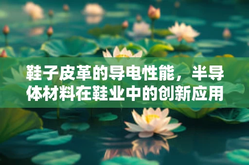 鞋子皮革的导电性能，半导体材料在鞋业中的创新应用？