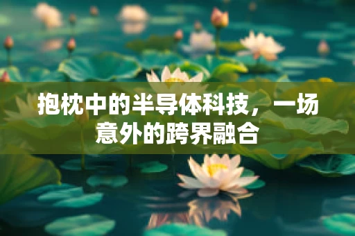 抱枕中的半导体科技，一场意外的跨界融合