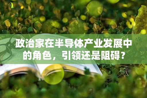 政治家在半导体产业发展中的角色，引领还是阻碍？