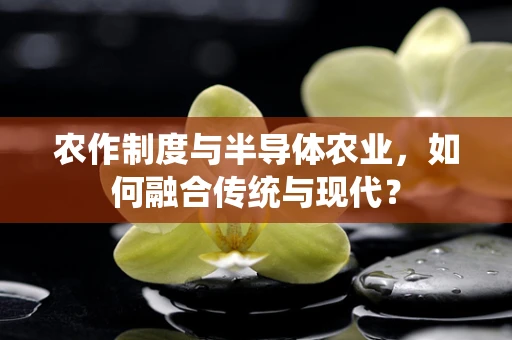 农作制度与半导体农业，如何融合传统与现代？