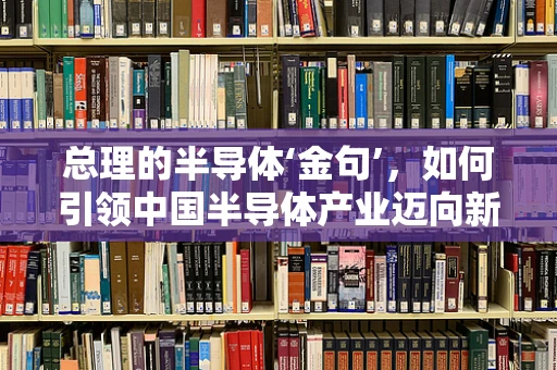 总理的半导体‘金句’，如何引领中国半导体产业迈向新高度？