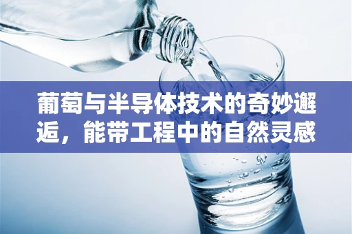 葡萄与半导体技术的奇妙邂逅，能带工程中的自然灵感