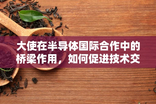 大使在半导体国际合作中的桥梁作用，如何促进技术交流与市场拓展？