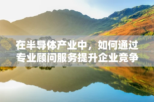 在半导体产业中，如何通过专业顾问服务提升企业竞争力？