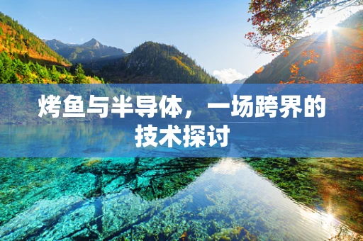 烤鱼与半导体，一场跨界的技术探讨