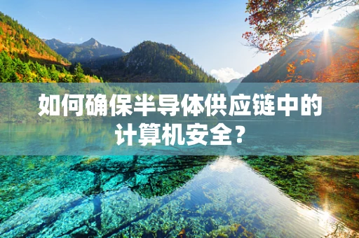 如何确保半导体供应链中的计算机安全？