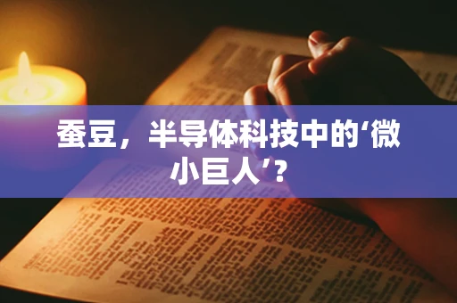 蚕豆，半导体科技中的‘微小巨人’？