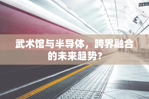 武术馆与半导体，跨界融合的未来趋势？