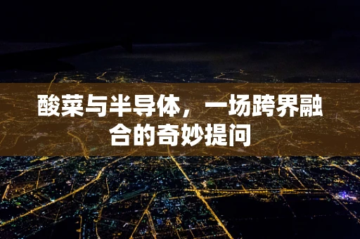 酸菜与半导体，一场跨界融合的奇妙提问