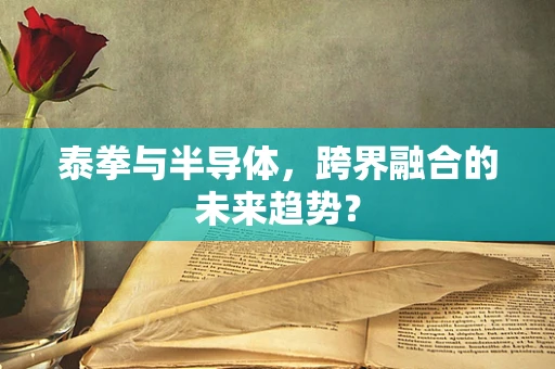 泰拳与半导体，跨界融合的未来趋势？