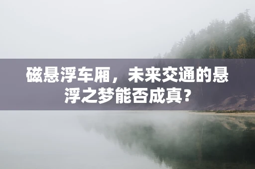 磁悬浮车厢，未来交通的悬浮之梦能否成真？