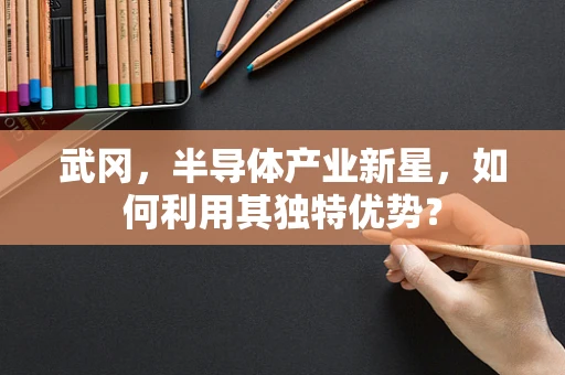 武冈，半导体产业新星，如何利用其独特优势？
