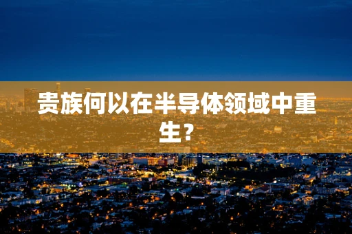 贵族何以在半导体领域中重生？