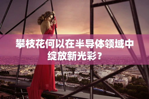 攀枝花何以在半导体领域中绽放新光彩？