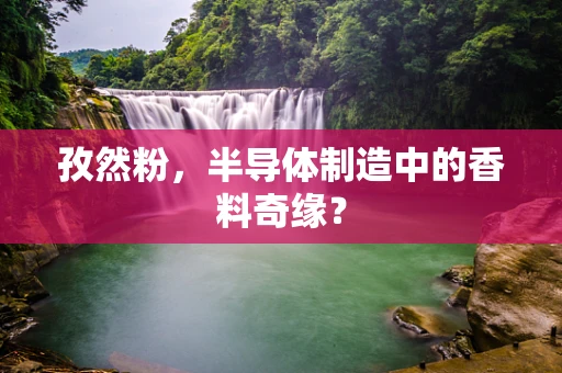 孜然粉，半导体制造中的香料奇缘？