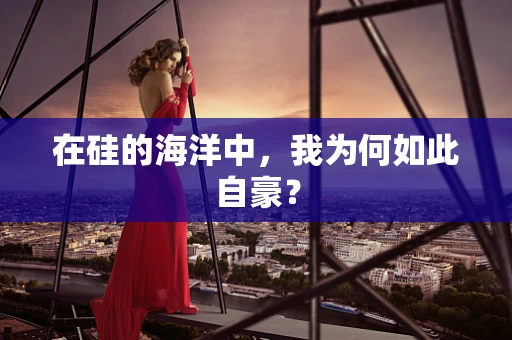 在硅的海洋中，我为何如此自豪？