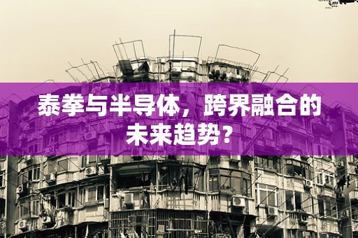 泰拳与半导体，跨界融合的未来趋势？