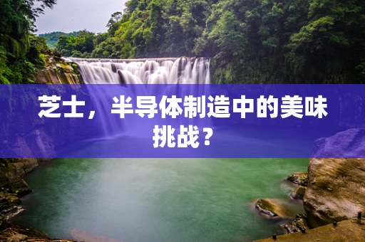芝士，半导体制造中的美味挑战？