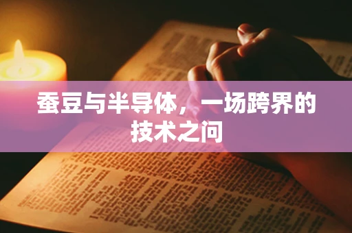 蚕豆与半导体，一场跨界的技术之问