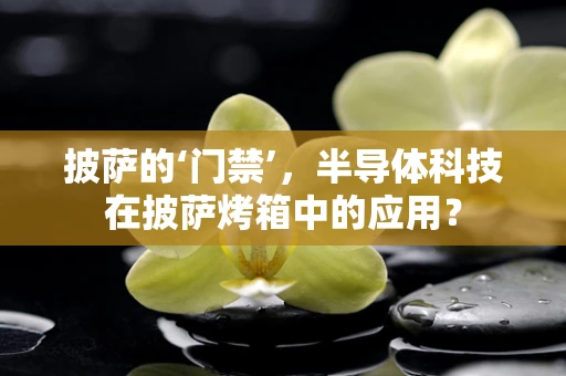 披萨的‘门禁’，半导体科技在披萨烤箱中的应用？