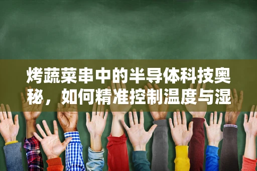 烤蔬菜串中的半导体科技奥秘，如何精准控制温度与湿度？