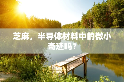 芝麻，半导体材料中的微小奇迹吗？