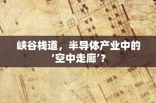 峡谷栈道，半导体产业中的‘空中走廊’？