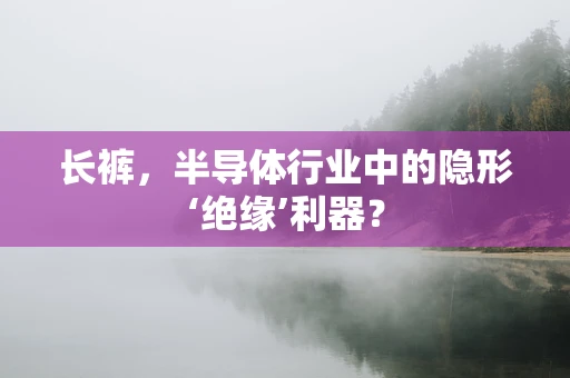 长裤，半导体行业中的隐形‘绝缘’利器？