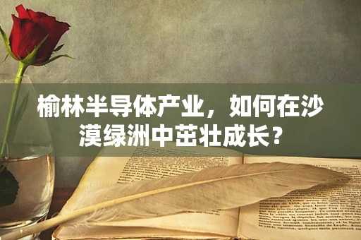 榆林半导体产业，如何在沙漠绿洲中茁壮成长？
