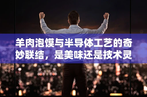 羊肉泡馍与半导体工艺的奇妙联结，是美味还是技术灵感？
