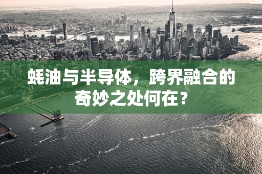 蚝油与半导体，跨界融合的奇妙之处何在？
