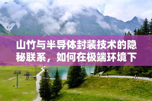 山竹与半导体封装技术的隐秘联系，如何在极端环境下保护芯片？