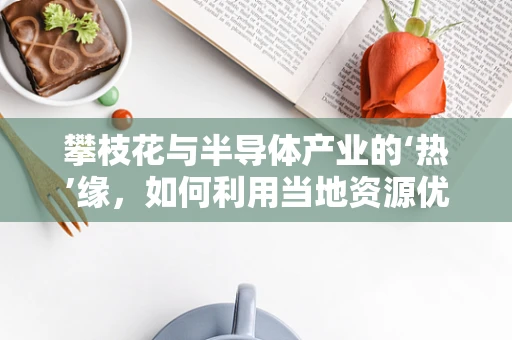攀枝花与半导体产业的‘热’缘，如何利用当地资源优势发展？