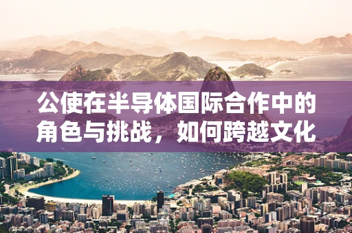公使在半导体国际合作中的角色与挑战，如何跨越文化与法律的鸿沟？