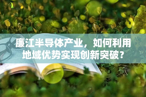 廉江半导体产业，如何利用地域优势实现创新突破？