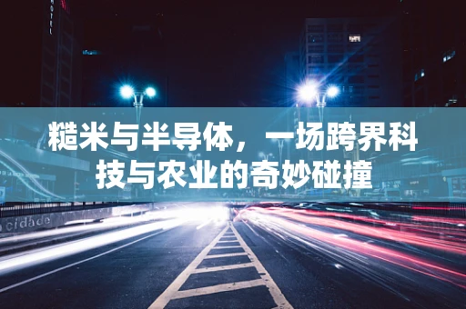 糙米与半导体，一场跨界科技与农业的奇妙碰撞