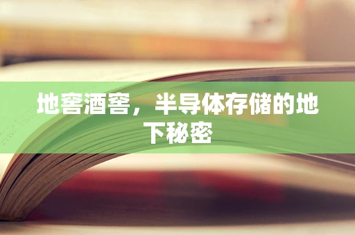 地窖酒窖，半导体存储的地下秘密