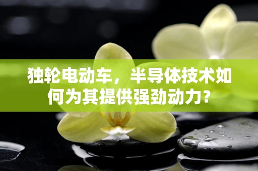 独轮电动车，半导体技术如何为其提供强劲动力？
