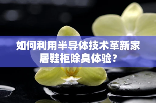 如何利用半导体技术革新家居鞋柜除臭体验？