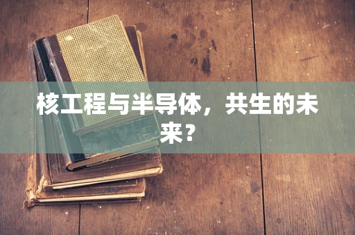 核工程与半导体，共生的未来？