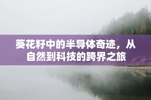 葵花籽中的半导体奇迹，从自然到科技的跨界之旅