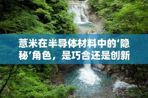 薏米在半导体材料中的‘隐秘’角色，是巧合还是创新之举？