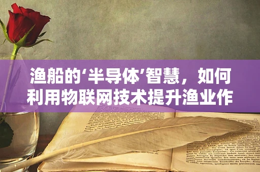 渔船的‘半导体’智慧，如何利用物联网技术提升渔业作业效率？