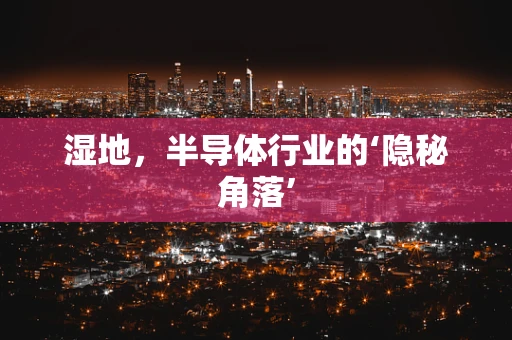 湿地，半导体行业的‘隐秘角落’
